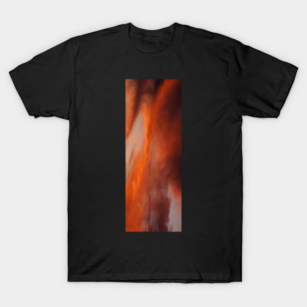Shepherds Delight at Magpie Springs by Avril Thomas T-Shirt by MagpieSprings